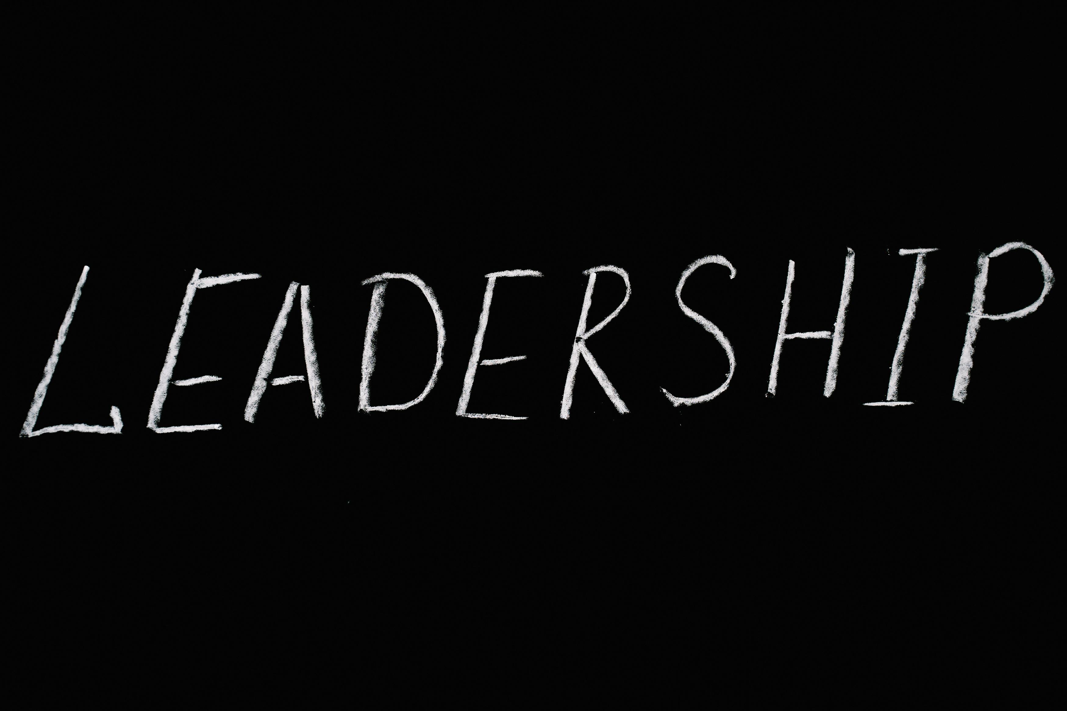 Transactional and Transformational Leadership Styles: Exploring Dunphy and Stace's Change Models